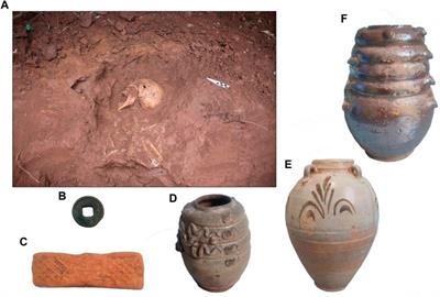 Bioarchaeological analysis of the human skeletal remains from cliff tomb burial of the Wangyuancun site in Leshan, Chengdu Plain, Southwest China